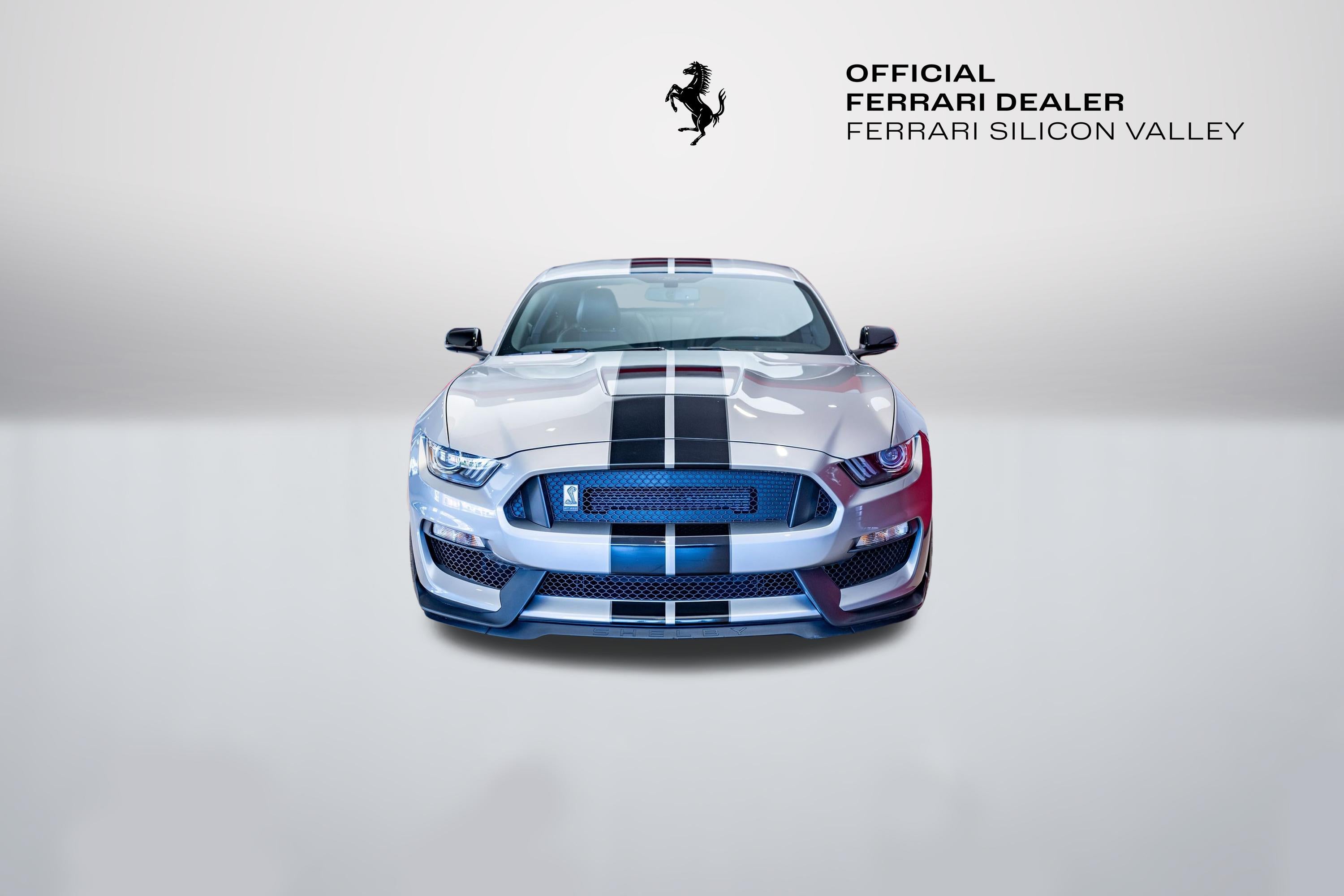 Shelby GT350 Fastback