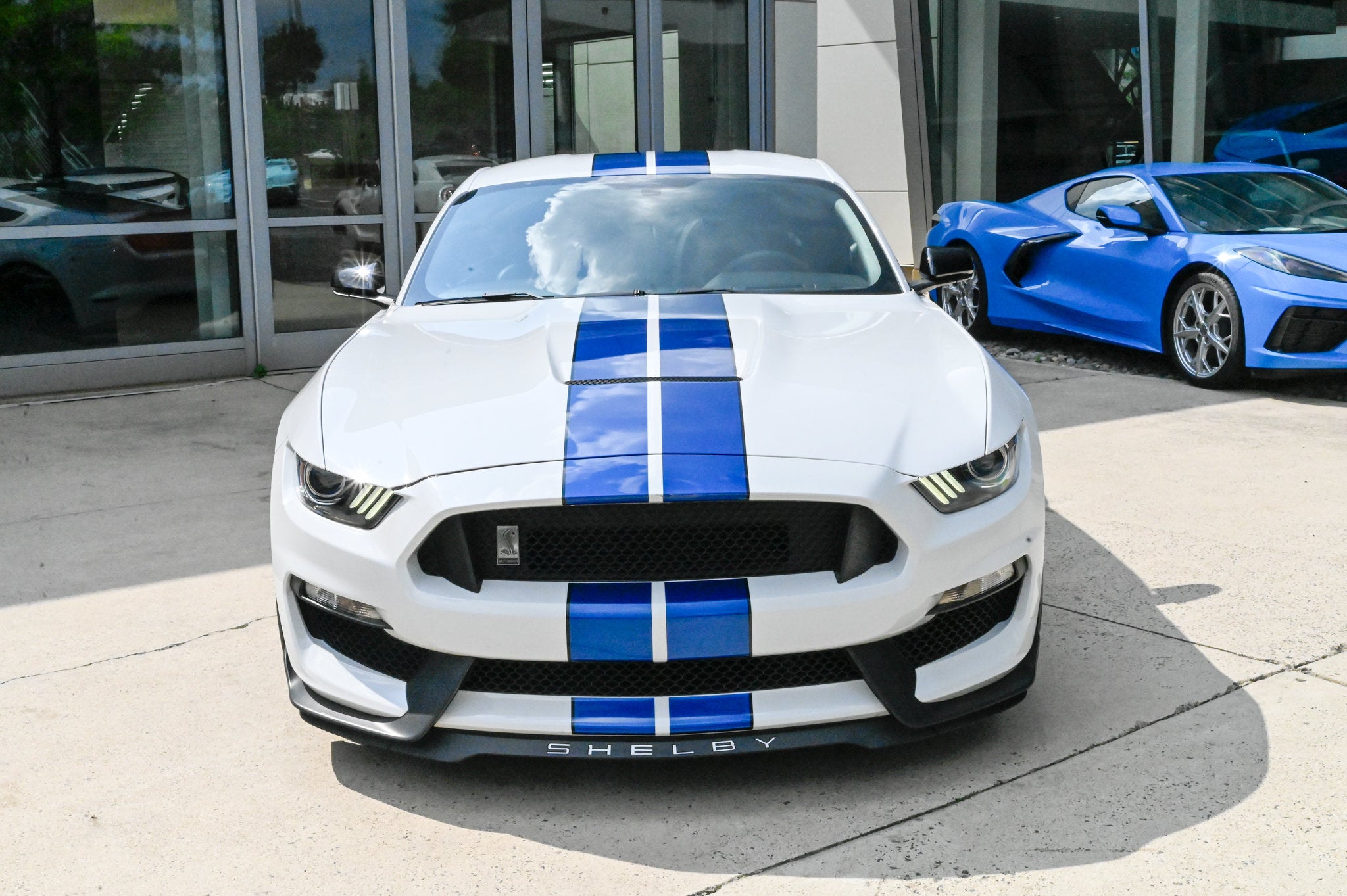 Shelby GT350 Fastback