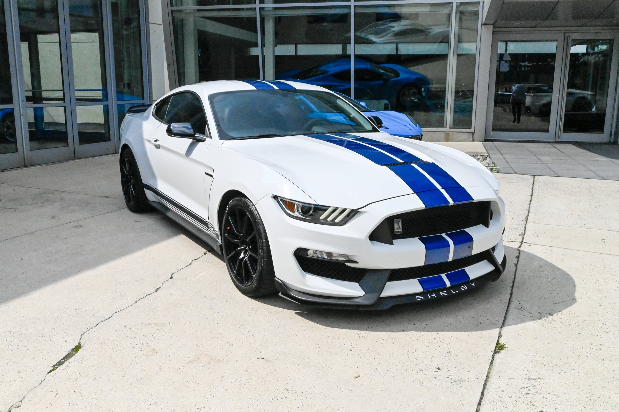 Shelby GT350 Fastback