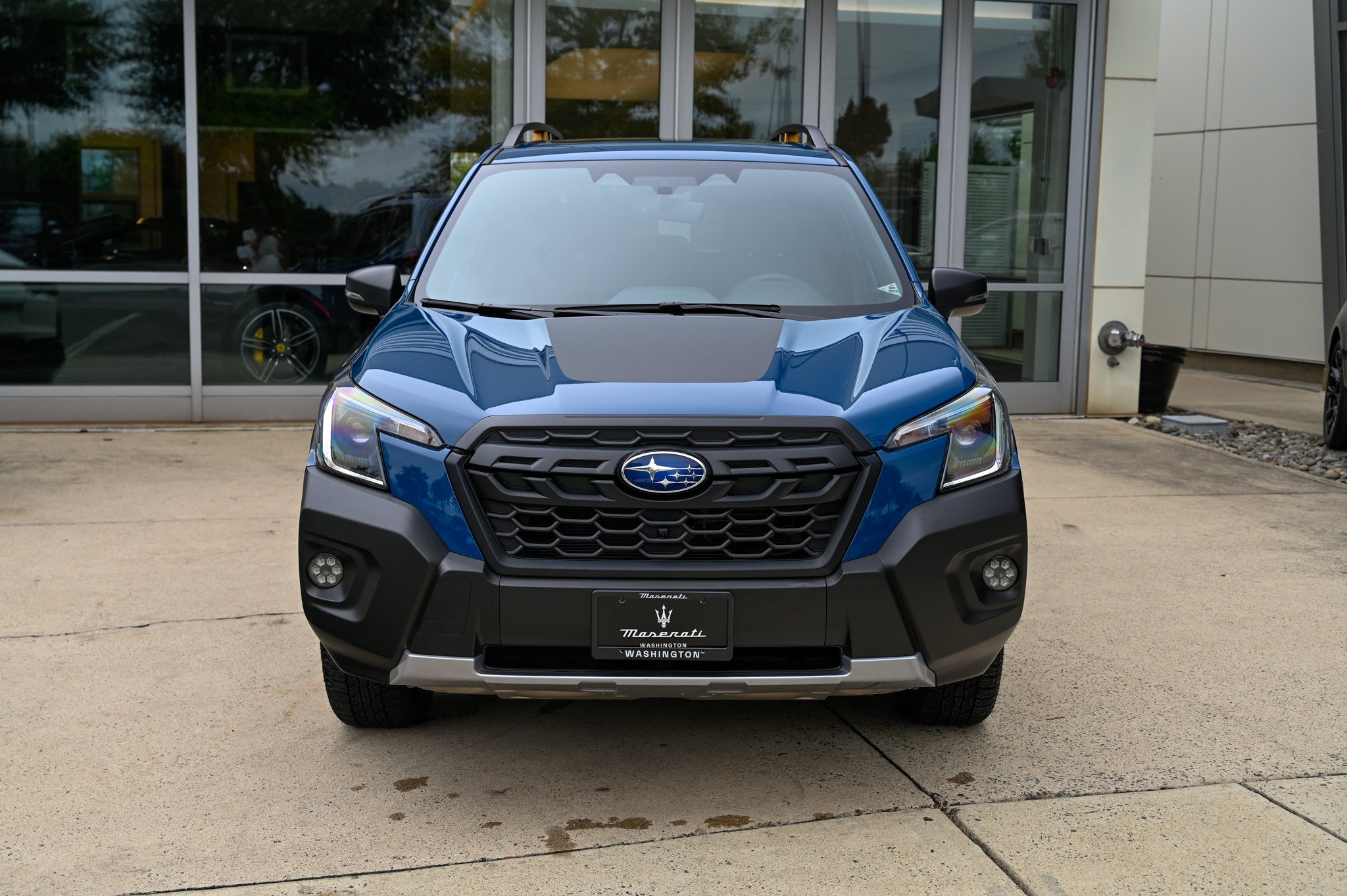 Wilderness CVT