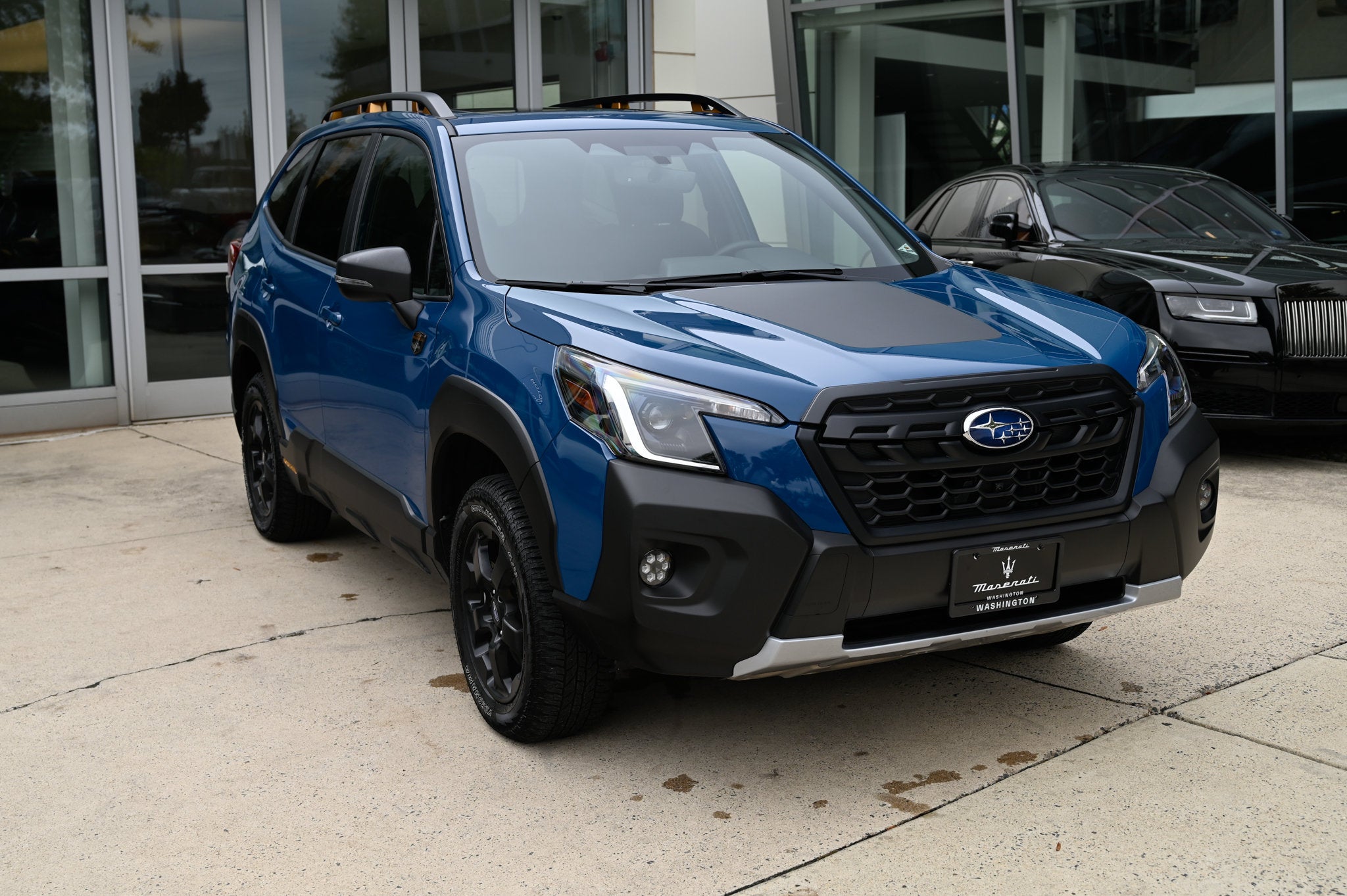 Wilderness CVT