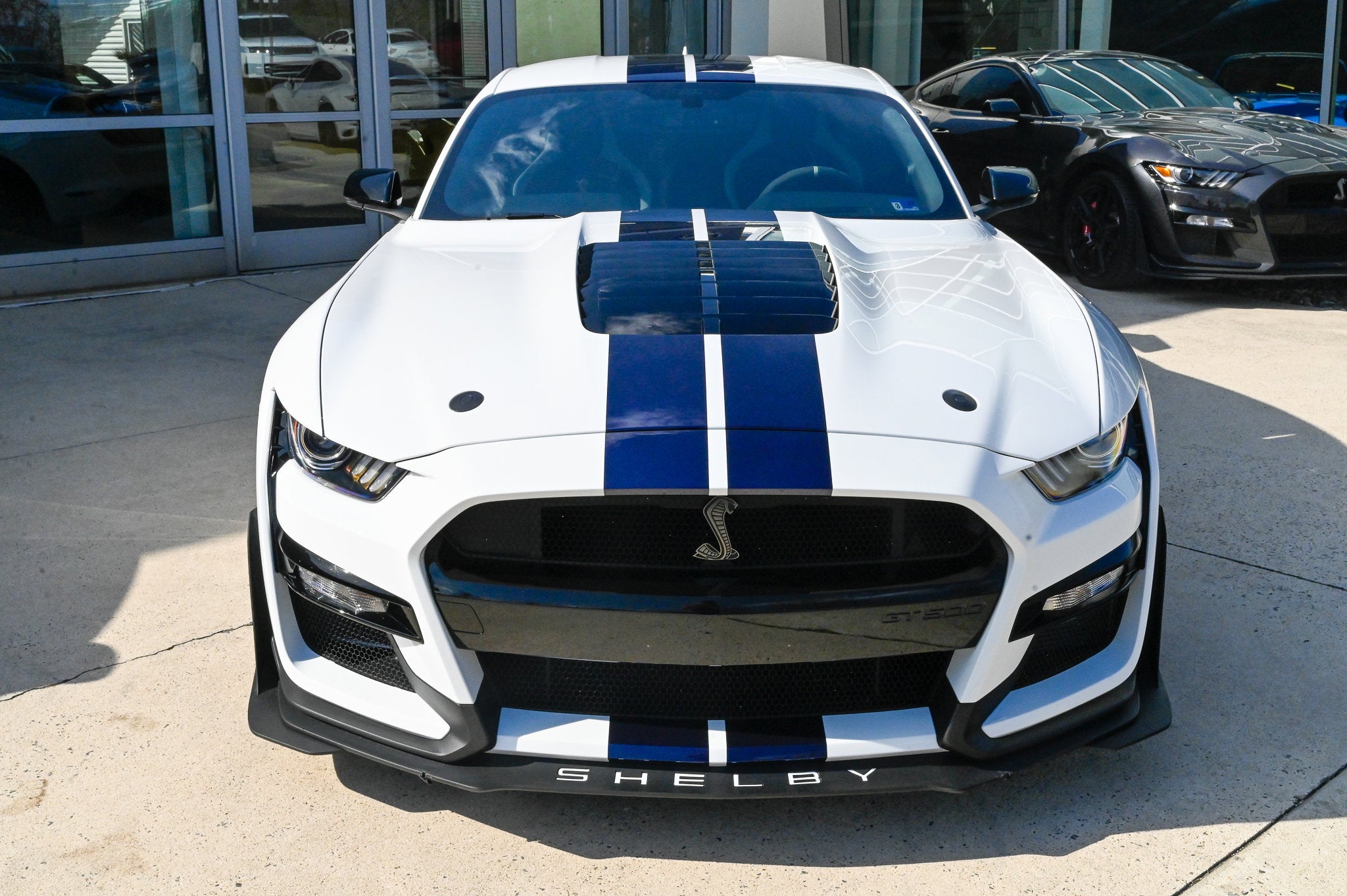 Shelby GT500 Fastback