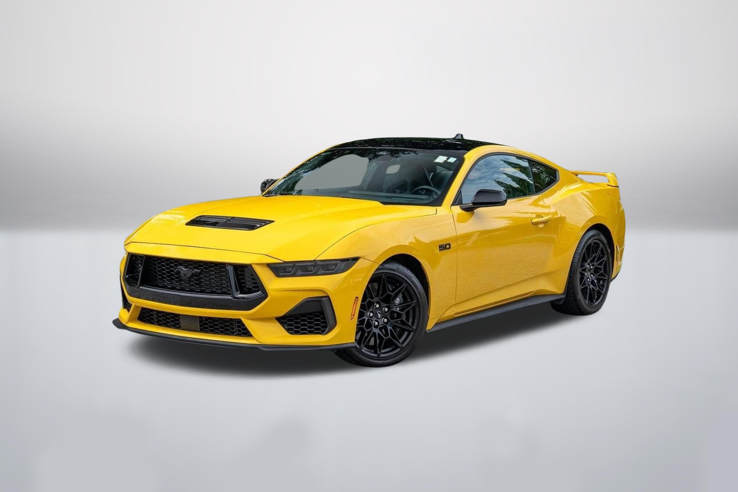GT Premium Fastback