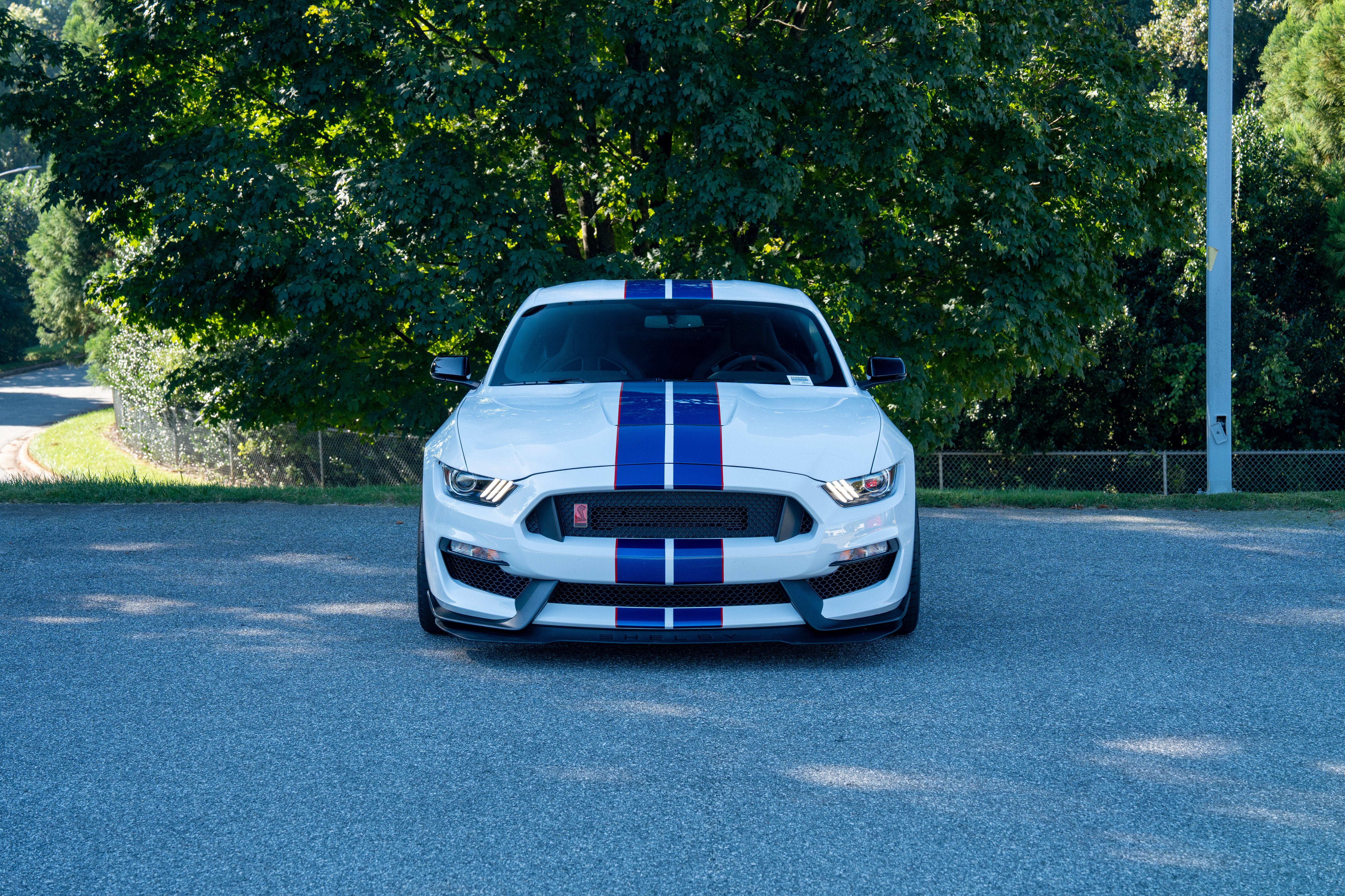 Used 2019 Oxford White Ford Shelby GT350R image 2
