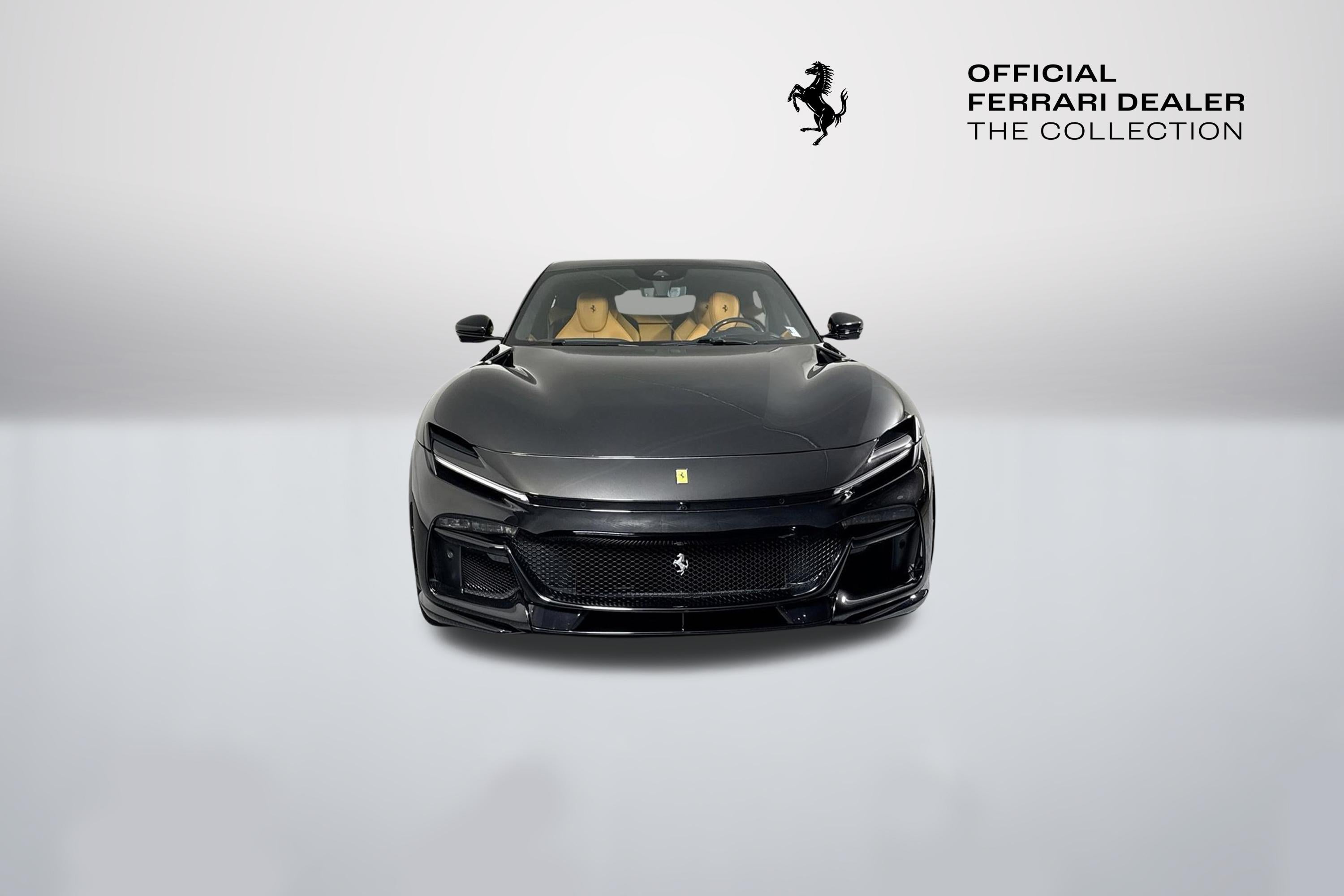 Ferrari-Purosangue-ZSG06VTA0T0326399 - The Collection