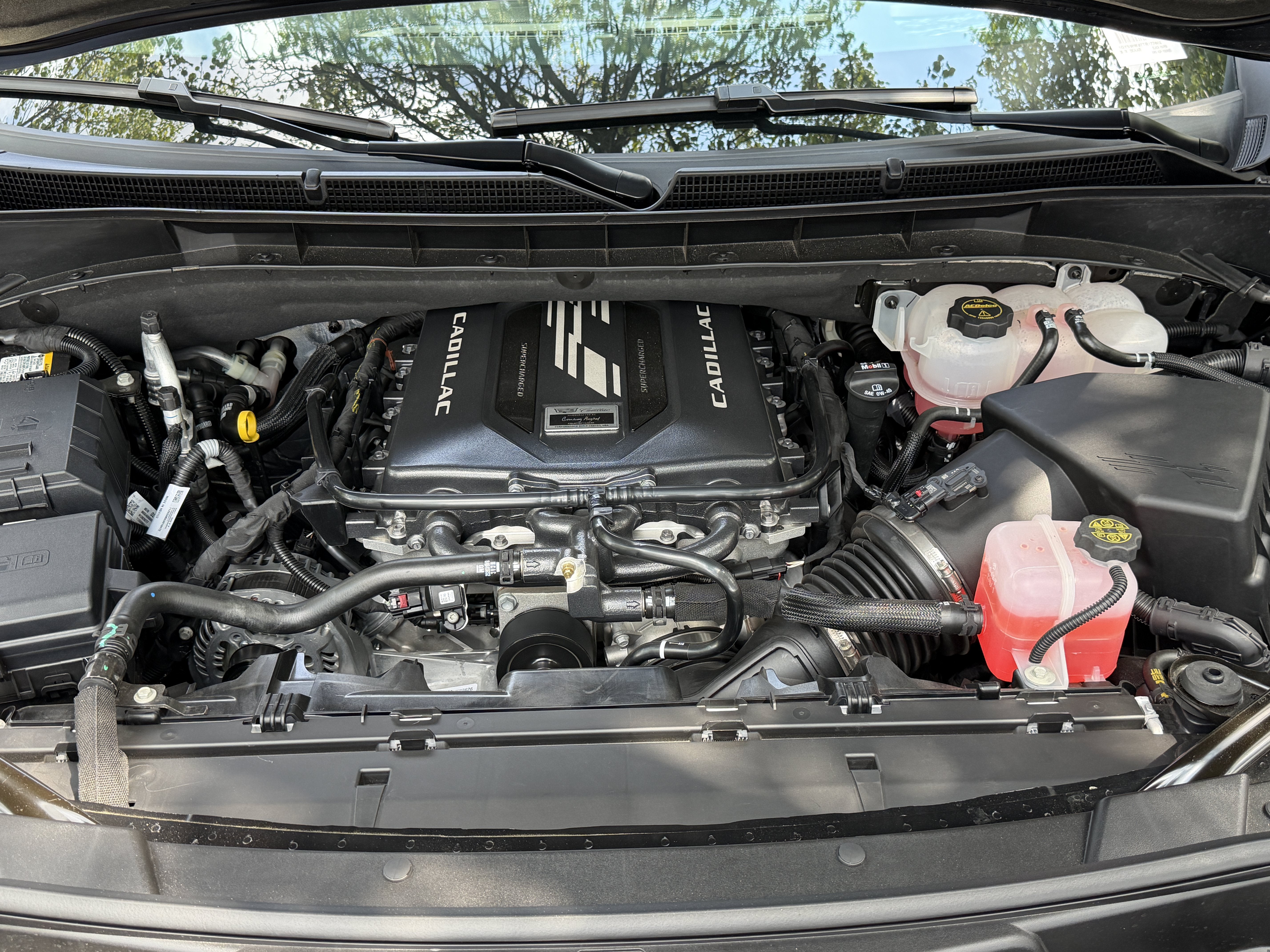 Used 2026 Black Raven Cadillac AWD V-Series image 9
