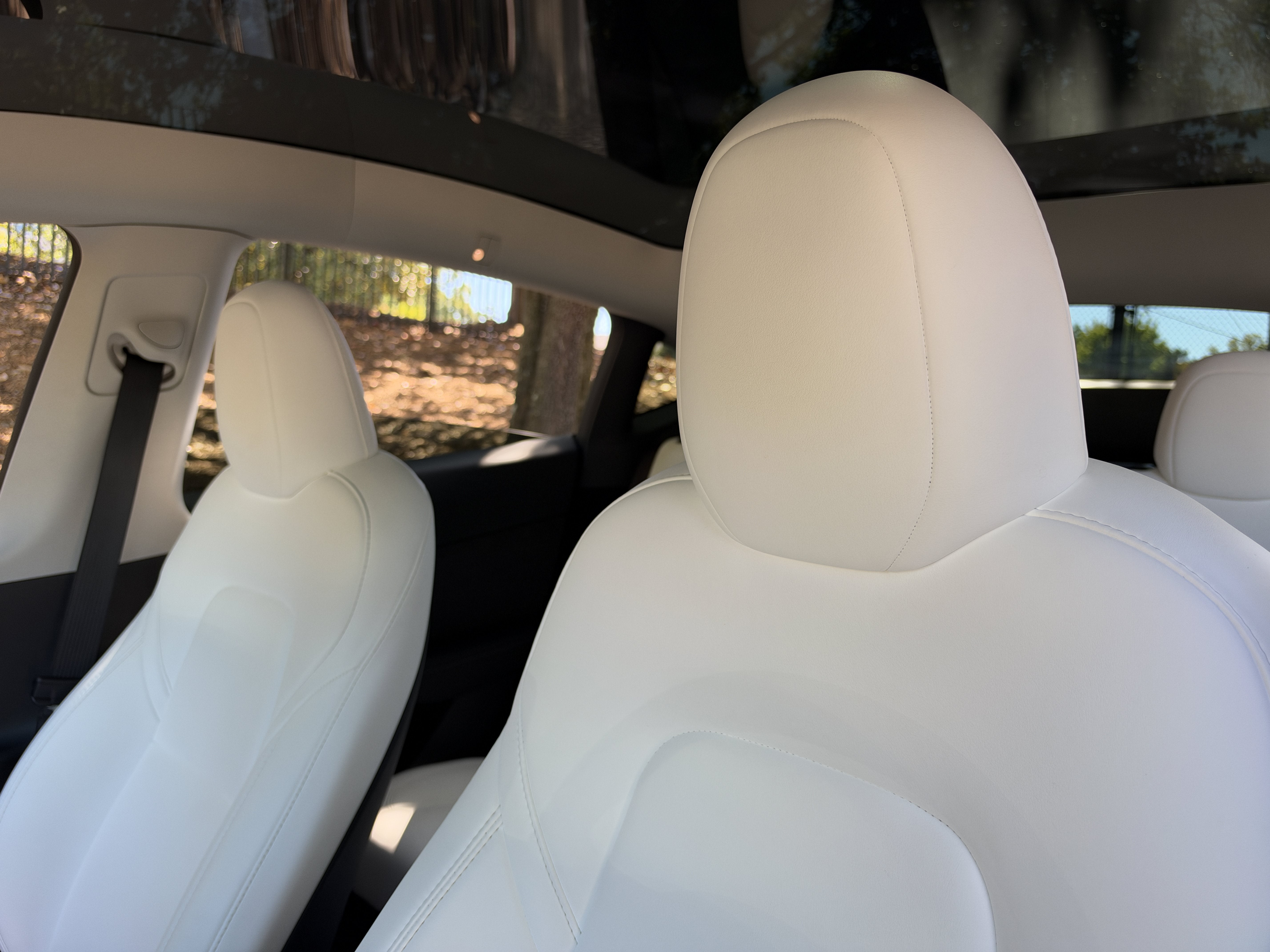 Used 2023 Black Tesla Performance image 28