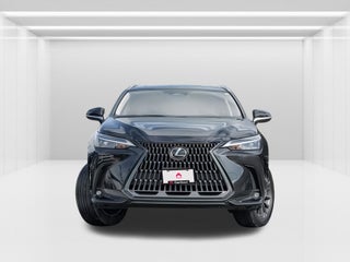 2024 Lexus NX