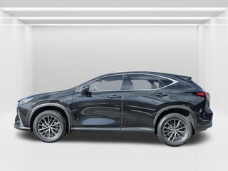 2024 Lexus NX