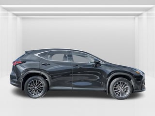 2024 Lexus NX