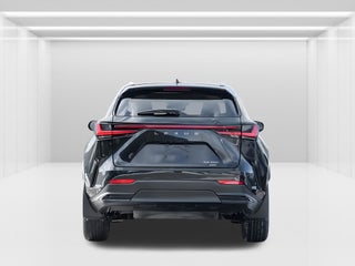 2024 Lexus NX