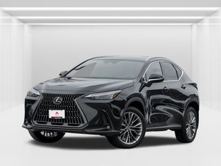 2022 Lexus NX