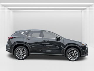 2022 Lexus NX