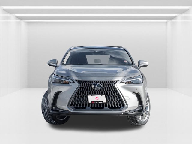 2024 Lexus NX