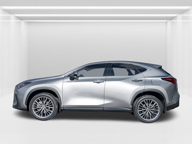 2024 Lexus NX