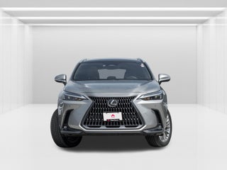 2023 Lexus NX