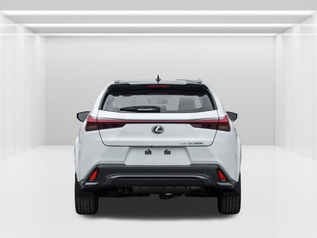 2024 Lexus UX