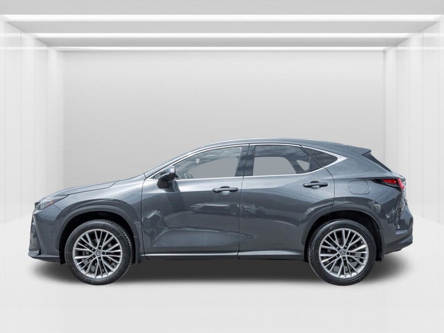 2022 Lexus NX