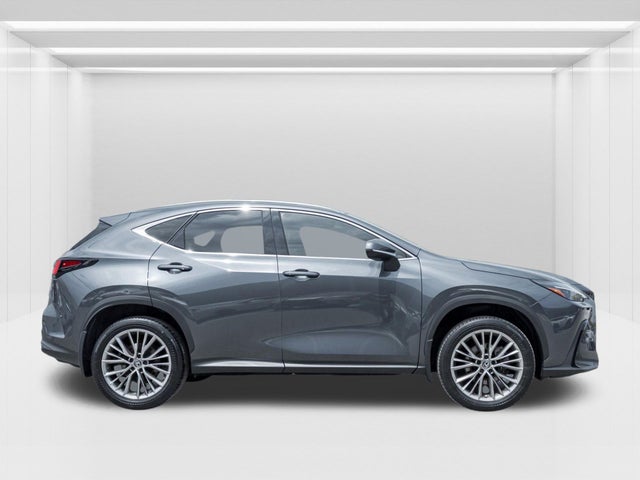 2022 Lexus NX