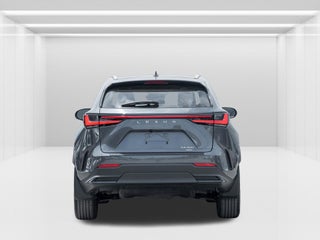 2022 Lexus NX