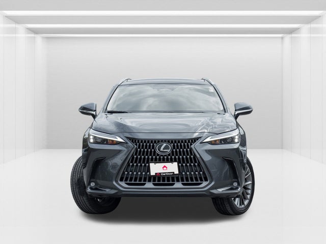 2022 Lexus NX