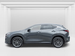 2022 Lexus NX