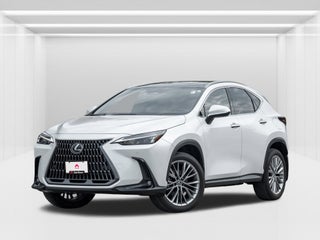 2022 Lexus NX