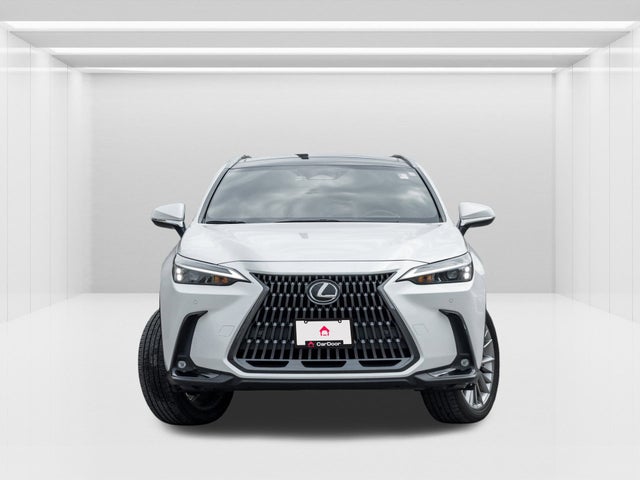 2022 Lexus NX