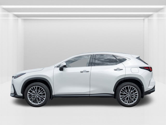 2022 Lexus NX
