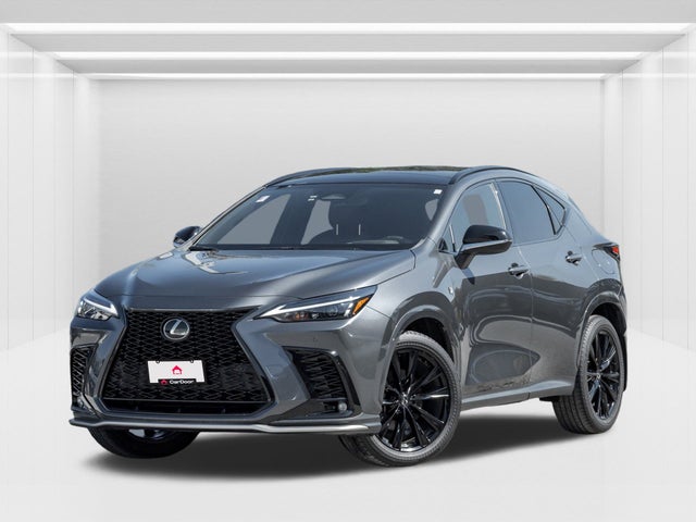 2024 Lexus NX