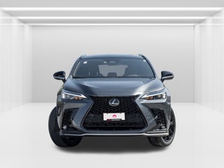 2024 Lexus NX