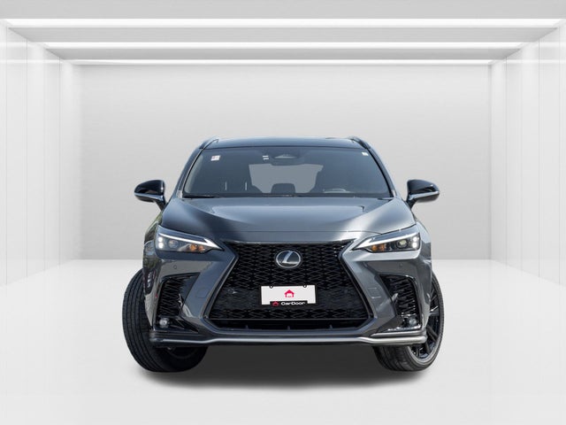 2024 Lexus NX