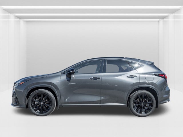 2024 Lexus NX