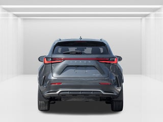2024 Lexus NX