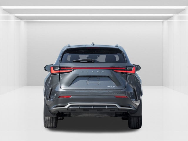 2024 Lexus NX