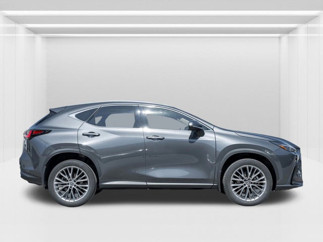 2022 Lexus NX