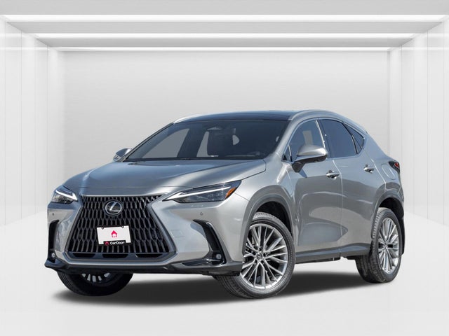 2022 Lexus NX
