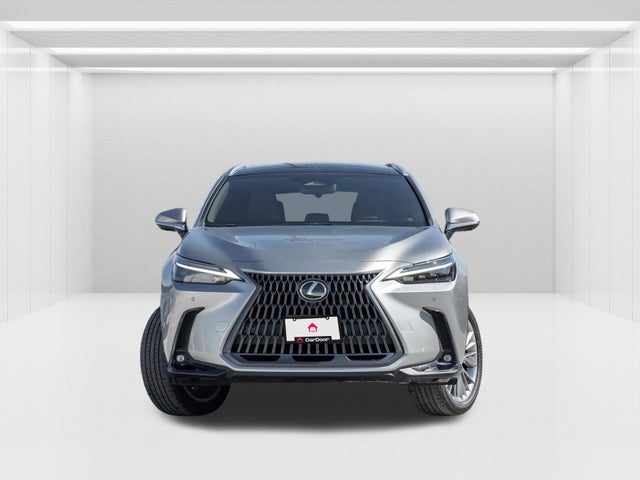 2022 Lexus NX