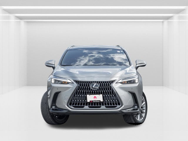 2022 Lexus NX
