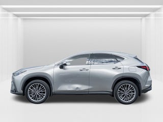 2022 Lexus NX