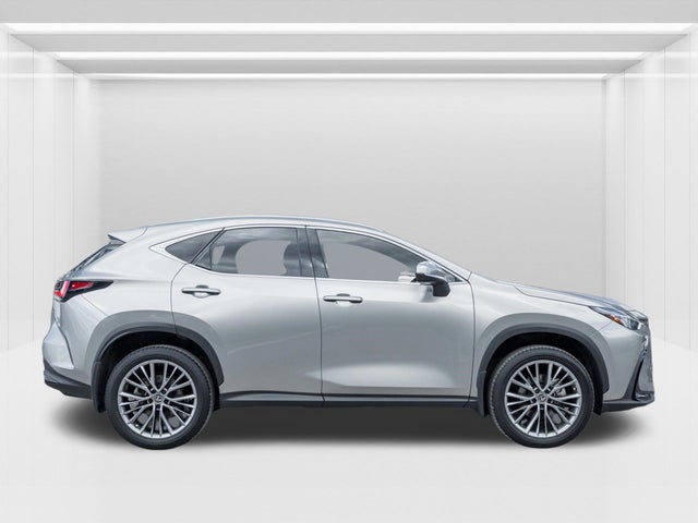 2022 Lexus NX