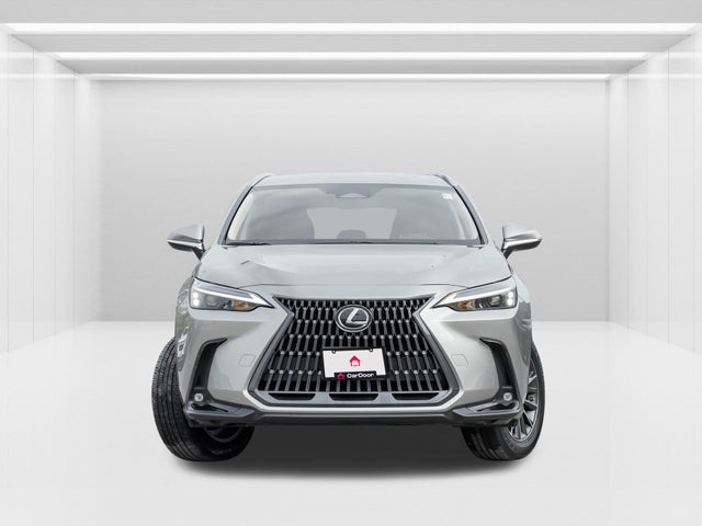2023 Lexus NX
