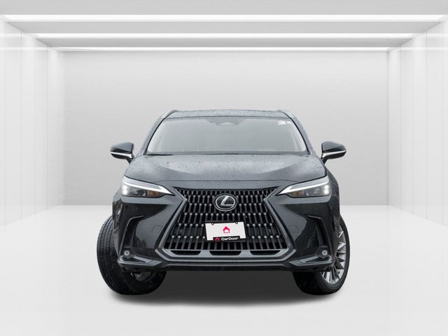 2022 Lexus NX