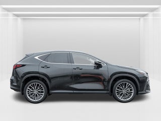 2022 Lexus NX