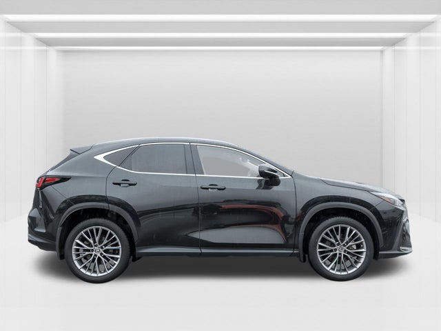 2022 Lexus NX