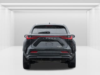 2022 Lexus NX