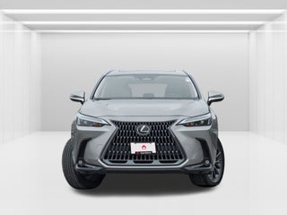 2024 Lexus NX