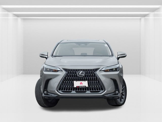 2024 Lexus NX