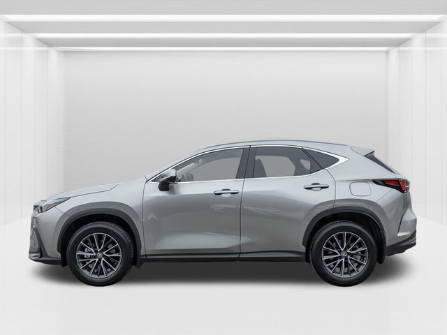 2024 Lexus NX