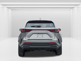2024 Lexus NX
